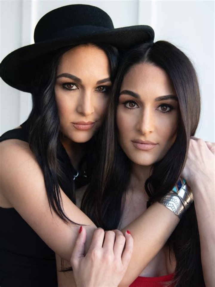 Bella Twins Net Worth ·