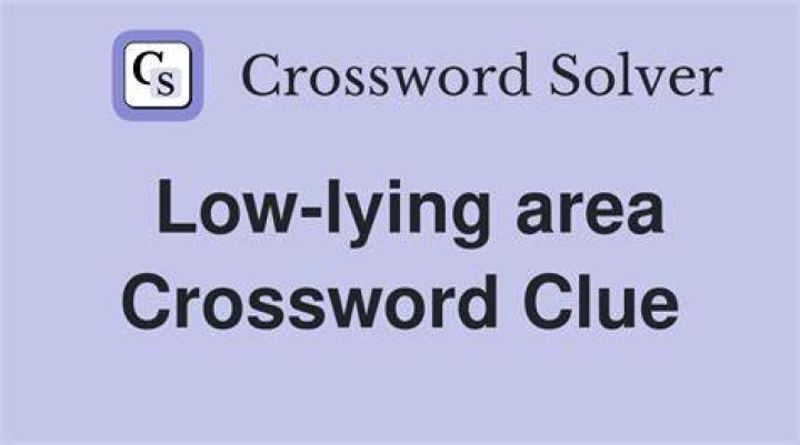 Low-lying area Crossword Clue