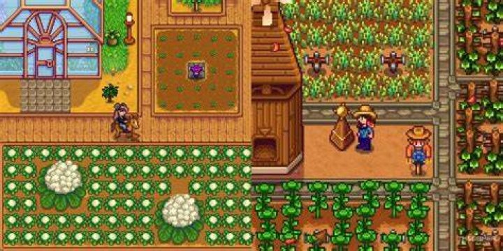 Stardew Valley How to get a Chicken Coop and Upgrade It