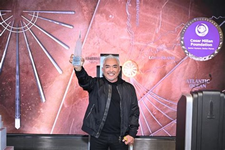 Unleash The Secrets Of Cesar Millan's Financial Empire