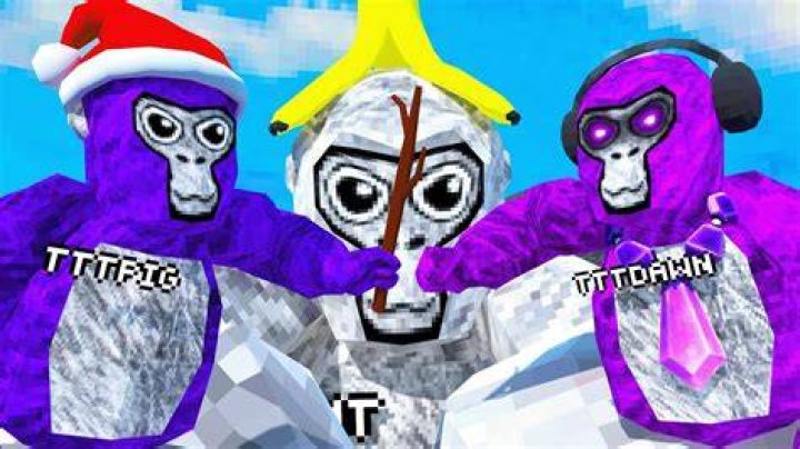 Who is the Best Gorilla Tag Player